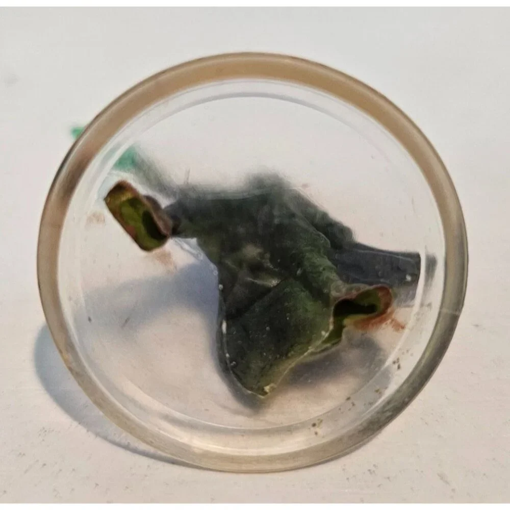 MTG Arena of the Planeswalkers Nissa Revane Figure Replacement Piece